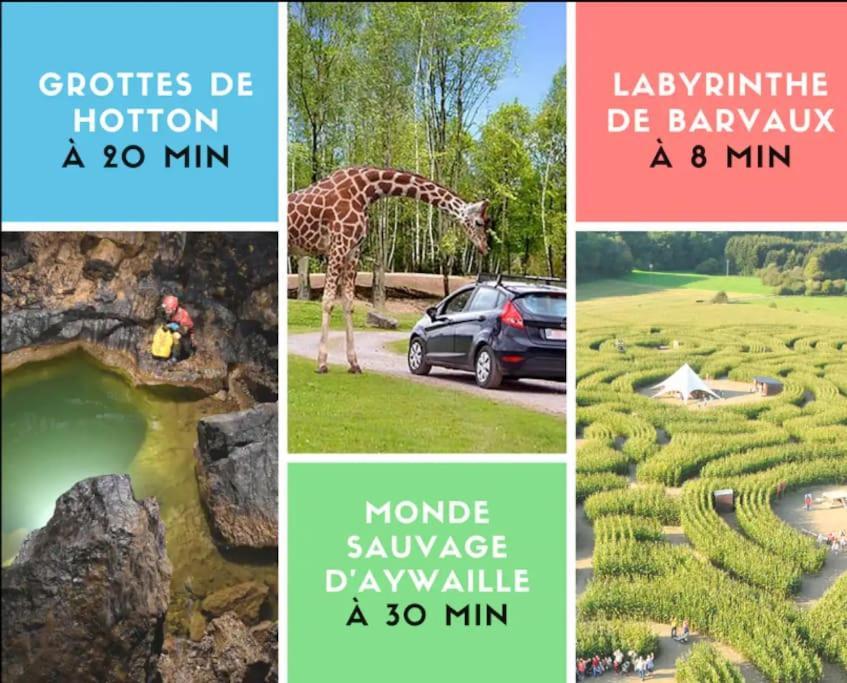 Avec Piscine Et Activites Appartement Durbuy